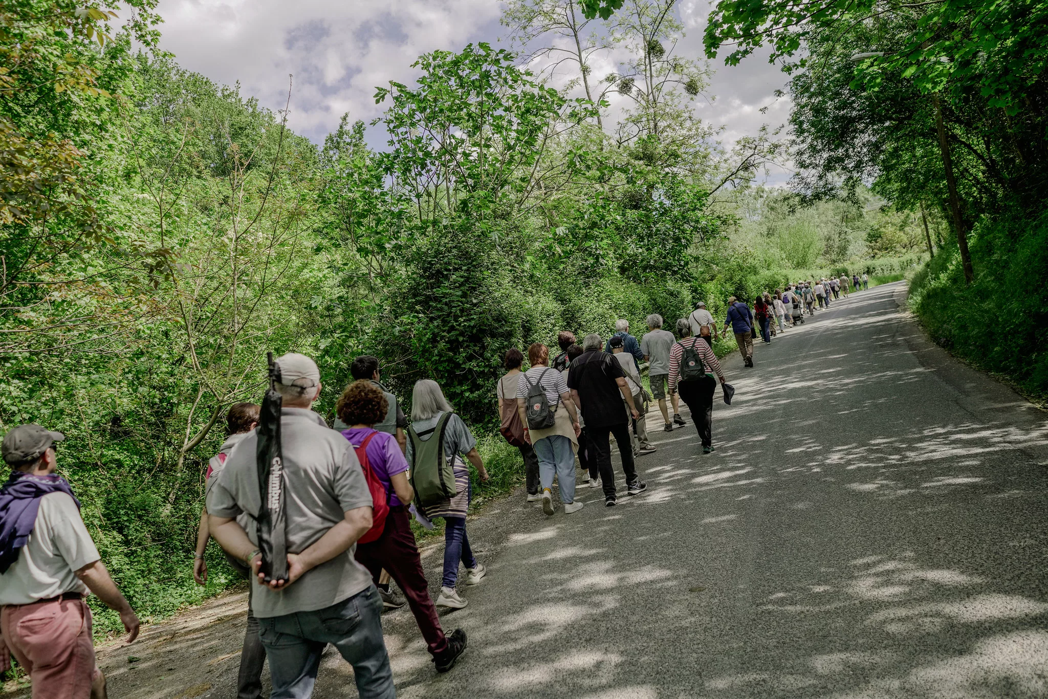 Paseo ciudadano por Tolosa Paseo ciudadano por Tolosa